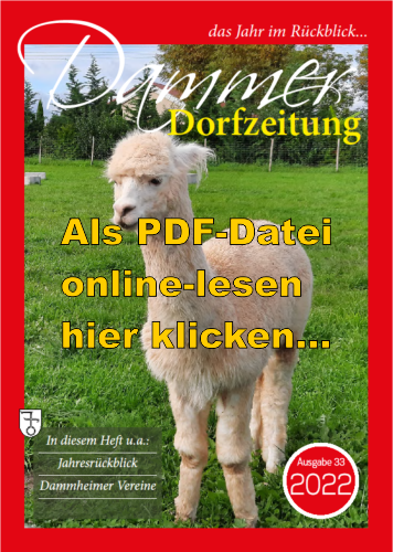 Dammer Dorfzeitung 2022